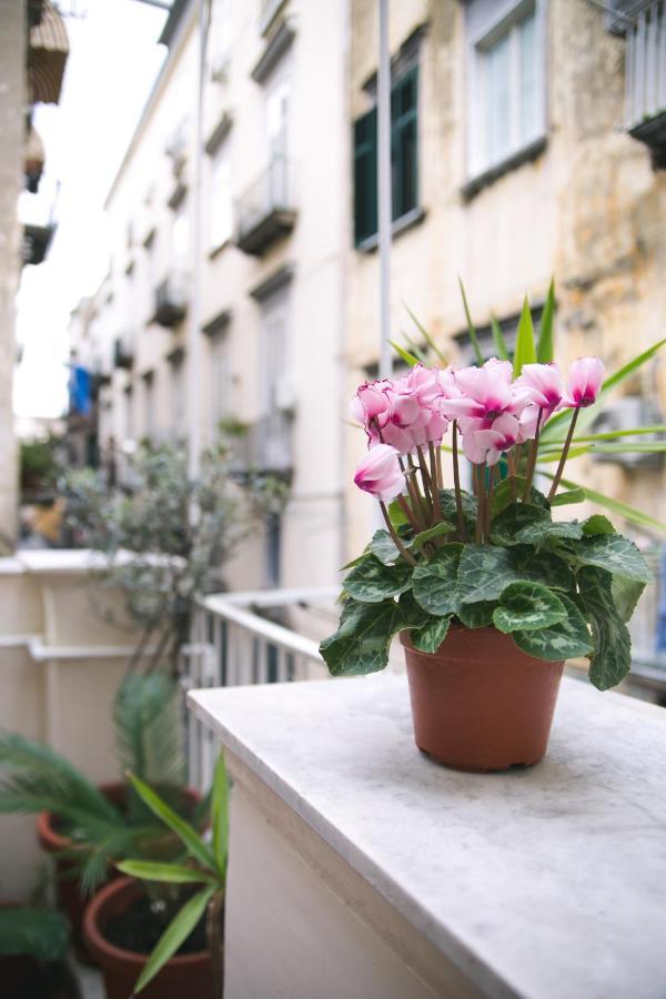 La Casa Del Nespolo, 2 Terrazzi E 2 Bagni In Centro Daire Napoli Dış mekan fotoğraf